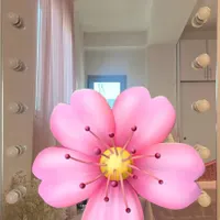 آینه چراغ دار|آینه|آمل, |دیوار