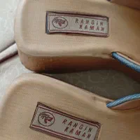 دمپای مجلسی یا روفرشی گلدوزی شده|کیف، کفش، کمربند|اراک, |دیوار