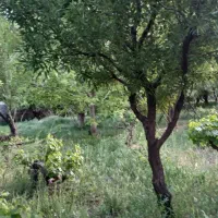 باغ ۲۰۰۰متری معاوضه با آپارتمان شهرک مجلسی