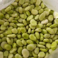 باقلا کیلوی۸۰،۰۰۰