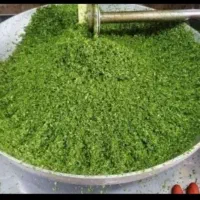 سبزی خردکنی تازه استاندارد با قیمت مناسب|خوردنی و آشامیدنی|مشهد, بهاران|دیوار
