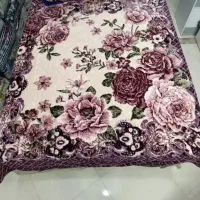 تک لایه و ضخیم