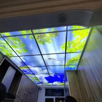 سقف کاذبpvcتایل گچی آسمان مجازی تایل معرقcncکناف|خدمات پیشه و مهارت|تهران, باغ خزانه|دیوار