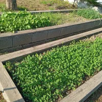 استخدام کارگر ساده