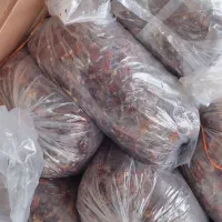 خرمای تخصصی آبگیری