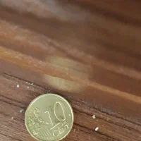 یورو 10سنتی 2002