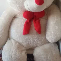 خرس بزرگ‌ وتاب ریلکس