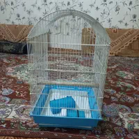 قفس.کفتر.قناری