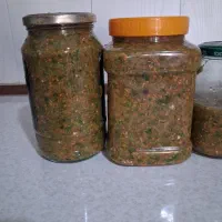 ترشی لیته