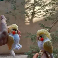 عروس هلندی بافتنی