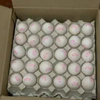 تخم مرغ روز با ارزان ترین قیمت