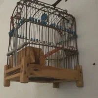 قفس دست ساز قدیمی، سهره