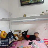 تخت دوطبقه در حد نو|تخت و سرویس خواب|بندر گناوه, |دیوار