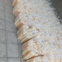 استخدام نیرو خانم و اقا