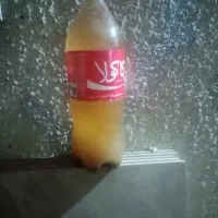 یک بطری غوره غوره دو بطری آبغوره هرکدام150 تومن|خوردنی و آشامیدنی|مراغه, |دیوار