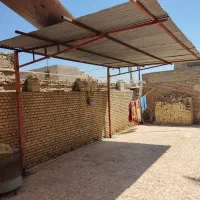 سایه بان