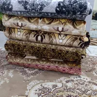 نودرجه ۱|فرش|باوی, |دیوار