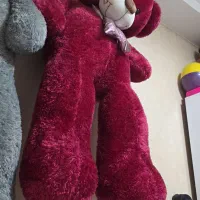 خرس