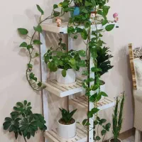 استند گل و گلدان|کتابخانه، شلف، قفسههای دیواری|جم, |دیوار