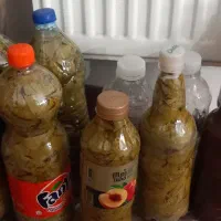 برگ دلمه تازه