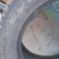 یک جفت لاستیک سایز R17/55/215 نکسن کره|قطعات یدکی و لوازم جانبی|بیرجند, |دیوار