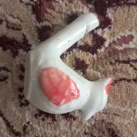 سوت سرامیکی مدل پرنده