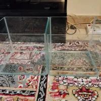 آکواریوم ماهی