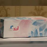 پخش انواع دستمال کاغذی به قیمت تولیدی|مواد شوینده و دستمال کاغذی|دهدشت, |دیوار
