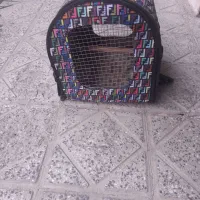 قفس پرنده