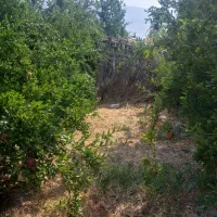 فروش خانه و باغ در کوه چنار