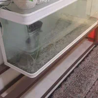 اکواریوم دلسا منحنی k1500