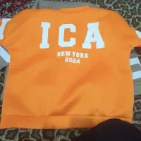 دورس شیگاکو