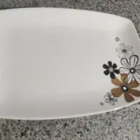 ظروف چینی