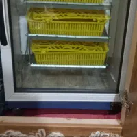 دستگاه جوجه کشی بلدرچین...