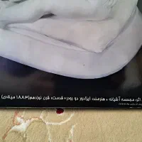 تابلو هنری مجسمه آشیانه|تابلو، نقاشی، عکس|شیراز, شهرک گلستان|دیوار