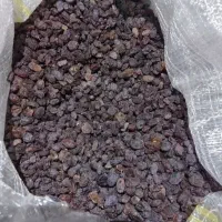 آفتابی کشمش بوانات