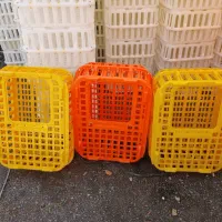 قفس و سبد حمل مرغ زنده