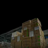 ملک-کلنگی-3182-متر