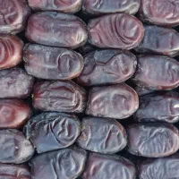 خرمای صادراتی