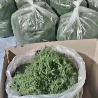 سبزی خشک درجه یک|خوردنی و آشامیدنی|قم, بلوار امین و ساحلی|دیوار