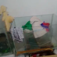 دو عدد آکواریوم بزرگ مخصوص مغازه ومنزل ومحل کار|ماهی|بومهن, |دیوار