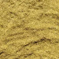 خار شتری