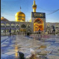 کاروان زیارتی مشهد