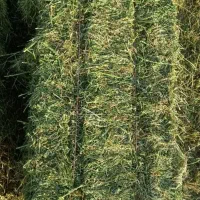 یونجه ۲۰۰بسته