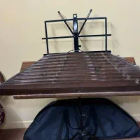 سنتور با کیف و مضراب