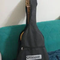 گیتار درحدنو|گیتار، بیس، امپلیفایر|شیراز, حومه شیراز|دیوار