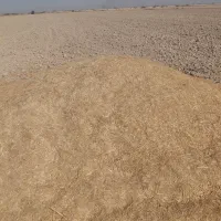 کاه|لوازم جانبی حیوانات|چمران, |دیوار