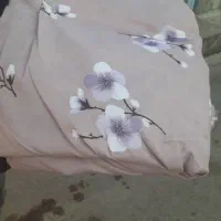 پارچه ازبانه تا خانه|رختخواب، بالش، پتو|گنبد کاووس, |دیوار