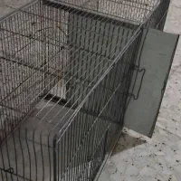 قفس جوجه پران