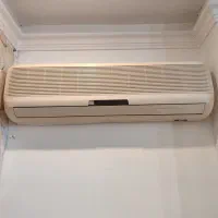 اسپیلیت الجی اصل۳۰هزار